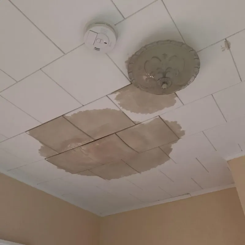Ceiling Water Damage Repair in Muskogee County, OK