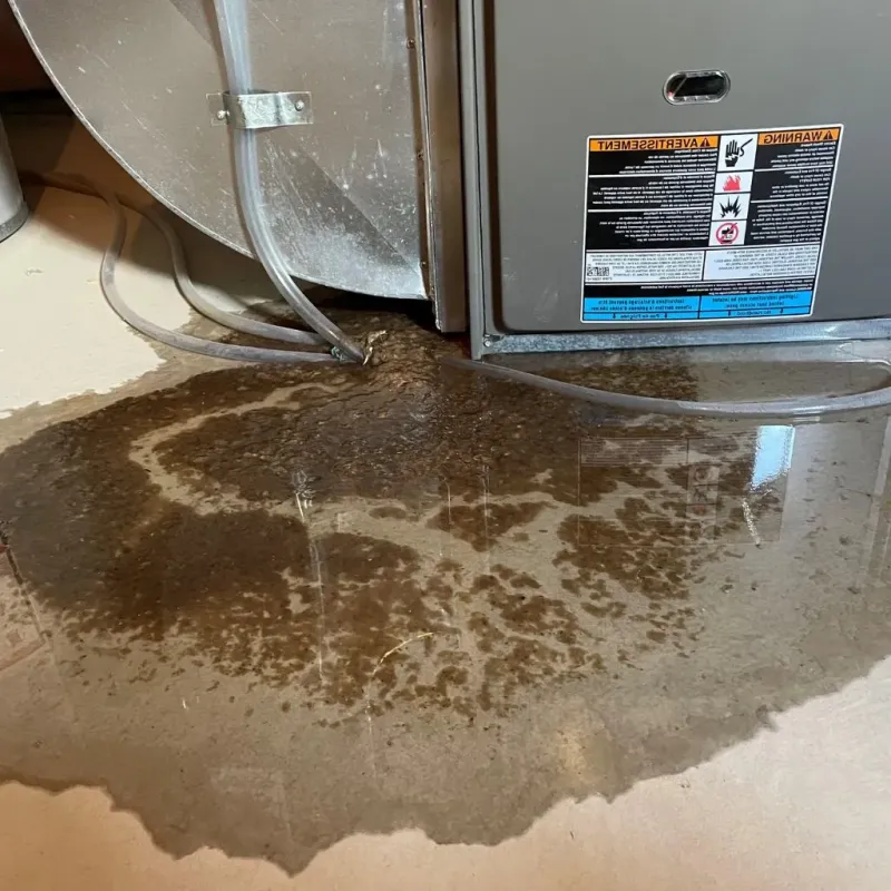 Pipe Burst and Leak Restoration in Muskogee County, OK
